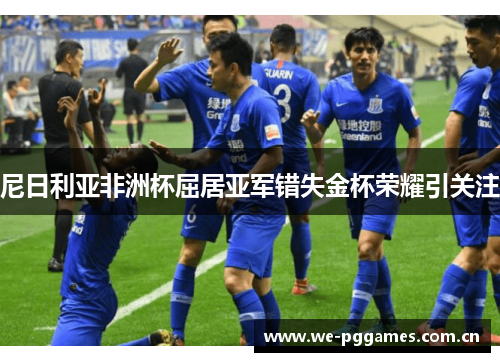 尼日利亚非洲杯屈居亚军错失金杯荣耀引关注